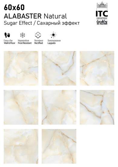 Фото 3 Коллекция Alabaster 60x60 (Itc India)