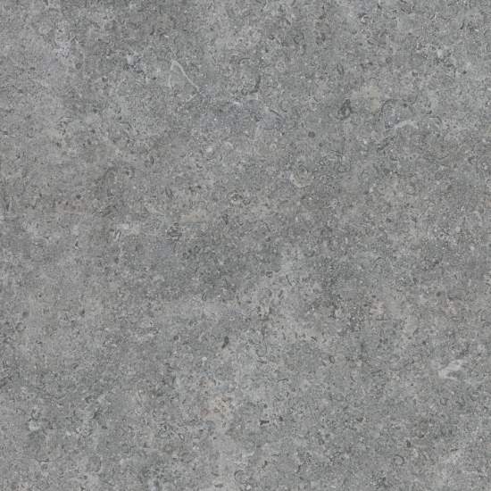 Argenta Etienne Grey 60x60 - керамическая плитка и керамогранит