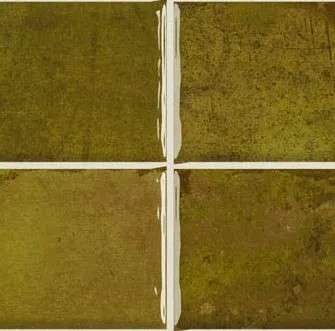 Керамическая плитка WB NAIROBI NOA MOSS 10X10