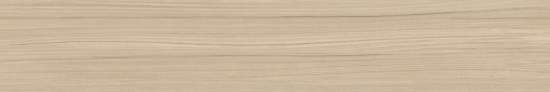 Citywood Beige GP20120CIT11 200x1200