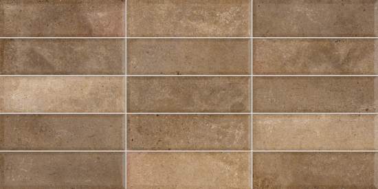 Elbrus Brick Marron WT36ELR31 300x600