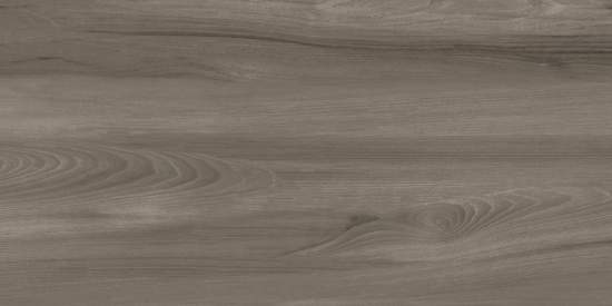 Goa Taupe GP36GOA18 300x600