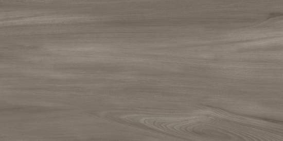 Goa Taupe GP36GOA18 300x600