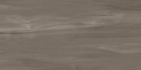 Goa Taupe GP36GOA18 300x600