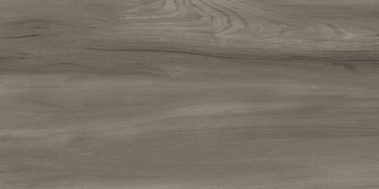 Goa Taupe GP36GOA18 300x600