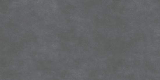 Life Cement Graphite D120238M 600x1200
