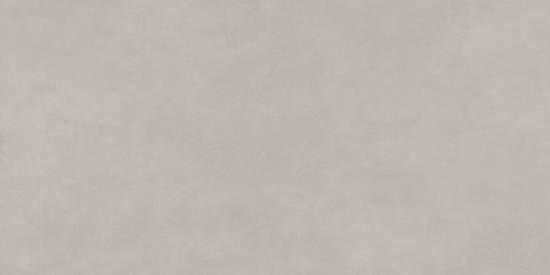 Life Cement Gray D120237M 600x1200