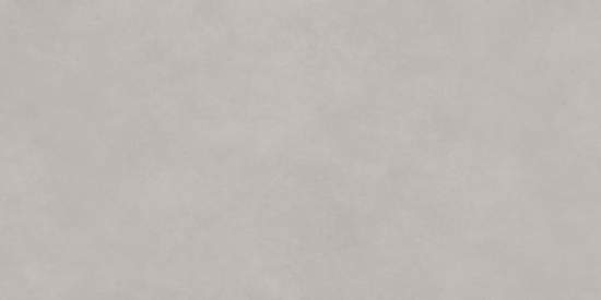 Life Cement Gray D120237M 600x1200