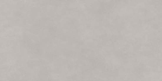 Life Cement Gray D120237M 600x1200