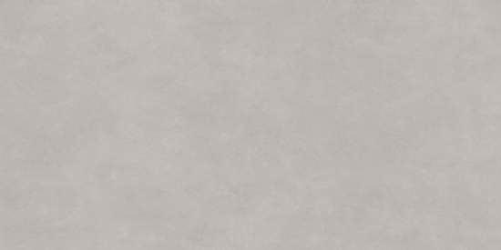 Life Cement Gray D120237M 600x1200