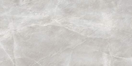 Salt Gray D120246L 600x1200