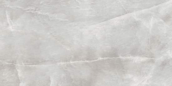 Salt Gray D120246L 600x1200