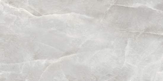 Salt Gray D120246L 600x1200