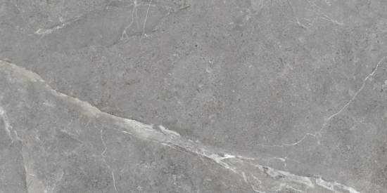 Titanium Gris GP60120TIA05M 600x1200