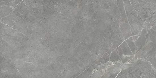Titanium Gris GP60120TIA05M 600x1200