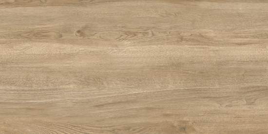 Walnut Light D120250M 600x1200
