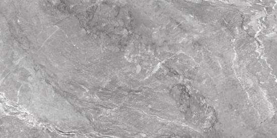 Wild Dark D120260M 600x1200