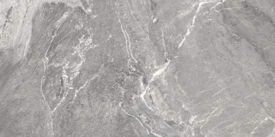 Wild Dark D120260M 600x1200