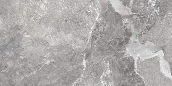 Wild Dark D120260M 600x1200