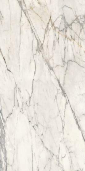 Maiora Marble Effect Calacatta Oro Glossy Rett 120x240