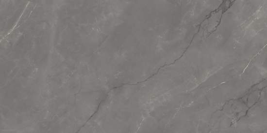 Infinity Ceramica  ASTONIA Grey Glossy Golden Line 60x120 (уп. 1,44 кв2/2 шт) -керамическая плитка и керамогранит